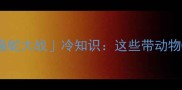 成语里的猫蛇大战冷知识这些带动物CP的俗语你敢信