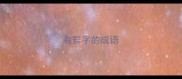 有群字的成语