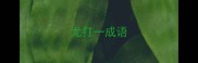 尤打一成语
