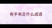 有手有足什么成语