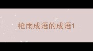 枪雨成语的成语