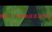 无无成语有哪些5个经典成语及用法附例句