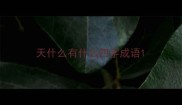 天什么有什么四字成语