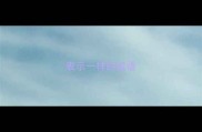 表示一样的成语