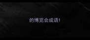 的博览会成语