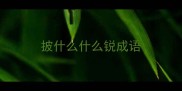 披什么什么锐成语