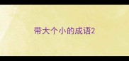 带大个小的成语