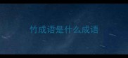 竹成语是什么成语