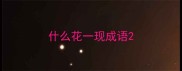什么花一现成语