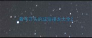 着字开头的成语接龙大全