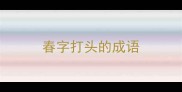 春字打头的成语