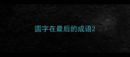圆字在最后的成语