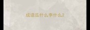 成语瓜什么李什么