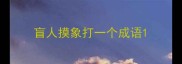 盲人摸象打一个成语