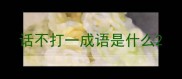 话不打一成语是什么