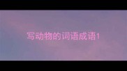 写动物的词语成语