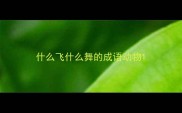 什么飞什么舞的成语动物