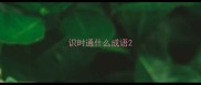 识时通什么成语