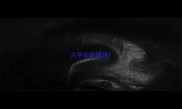 火字头的成语