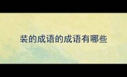 装的成语的成语有哪些