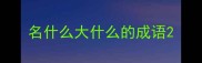 名什么大什么的成语