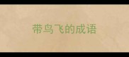 带鸟飞的成语