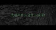 成语风什么全什么成语