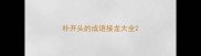 朴开头的成语接龙大全