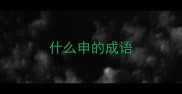 什么申的成语