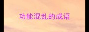 功能混乱的成语