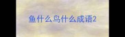 鱼什么鸟什么成语
