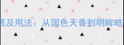 形容美丽的20个成语及用法从国色天香到明眸皓齿的中华美学密码
