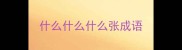 什么什么什么张成语