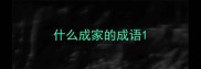 什么成家的成语