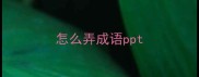 怎么弄成语ppt