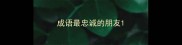 成语最忠诚的朋友