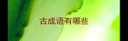 古成语有哪些