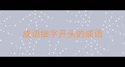 成语细字开头的成语