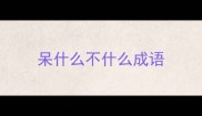 呆什么不什么成语