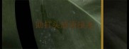 助打头成语接龙