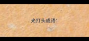 光打头成语
