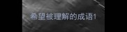 希望被理解的成语