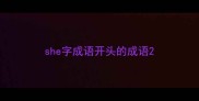 she字成语开头的成语