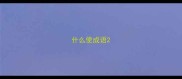 什么使成语
