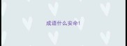 成语什么安命
