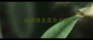 成语接龙是非分明