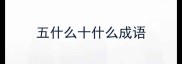 五什么十什么成语