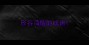 形容清醒的成语