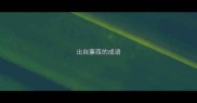 出自蒹葭的成语