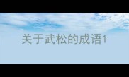 关于武松的成语